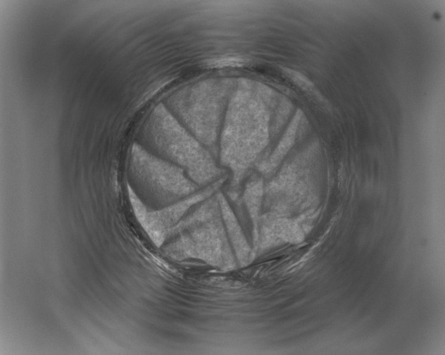 X0000062131209200512301452