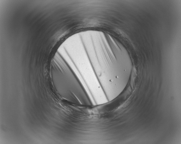 X0000062131210200512301452