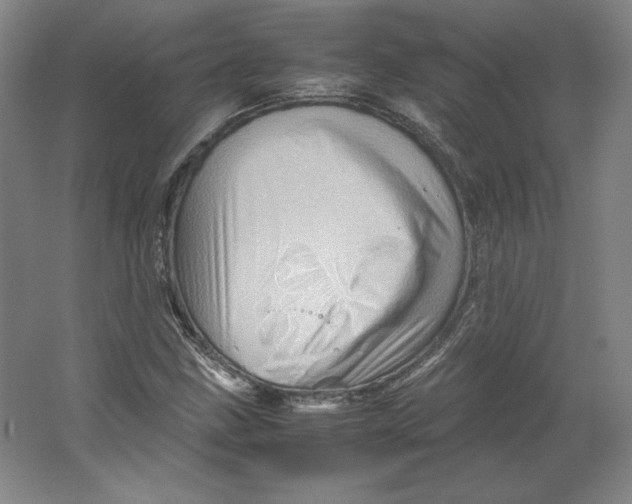 X0000062131211200512301452