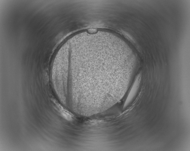 X0000062131212200512301452