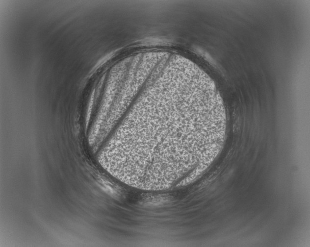 X0000062131213200512301452