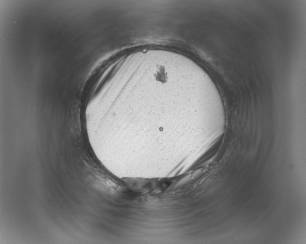 X0000062131214200512301452