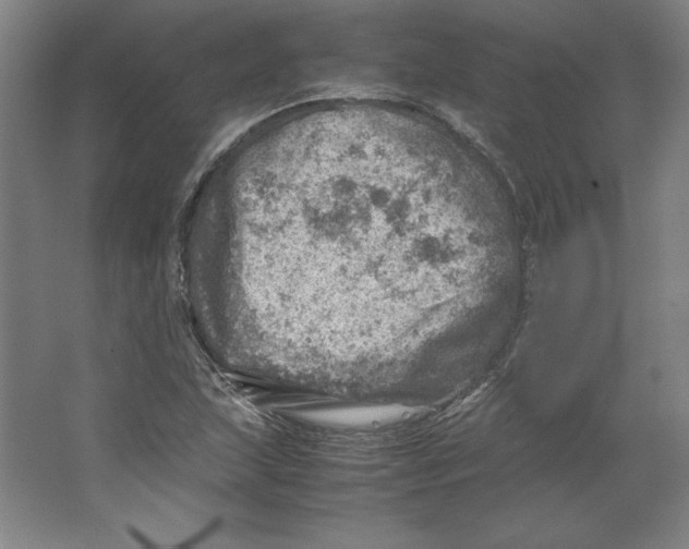 X0000062131215200512301452