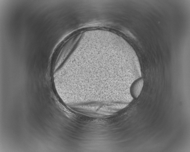 X0000062131216200512301452