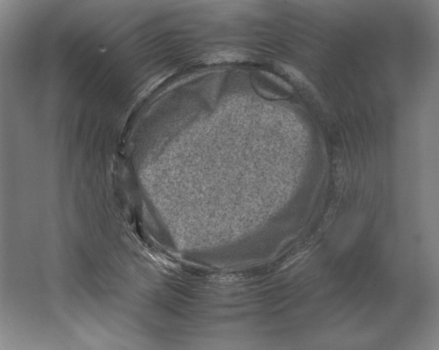 X0000062131217200512301453