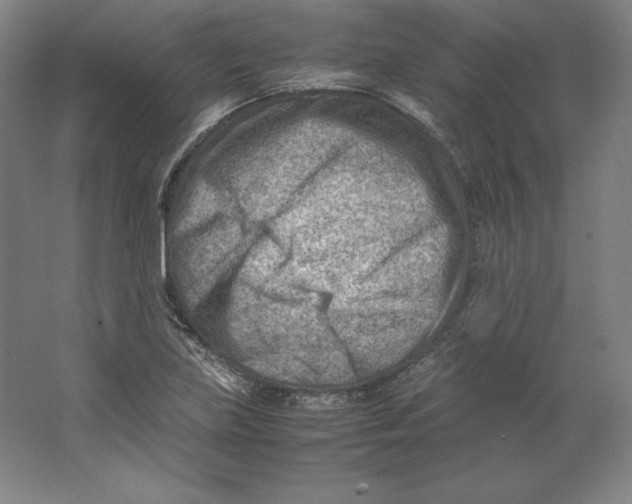 X0000062131219200512301453