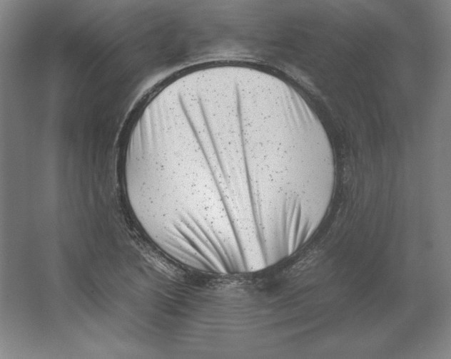 X0000062131222200512301453