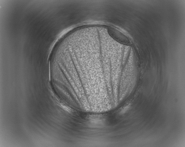 X0000062131223200512301453