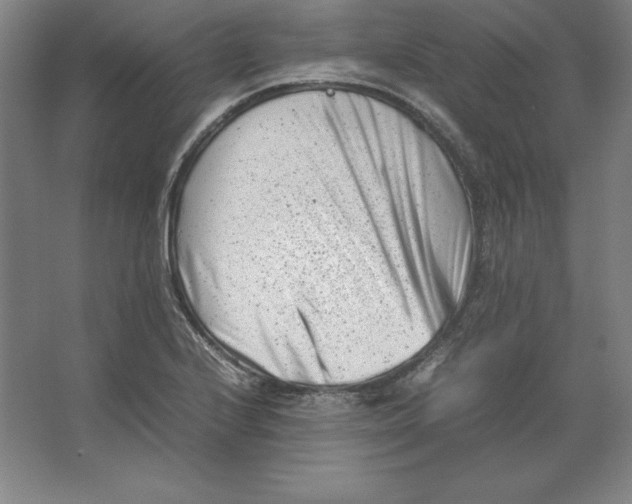 X0000062131224200512301453