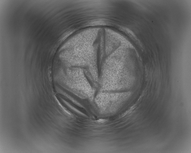 X0000062131225200512301453