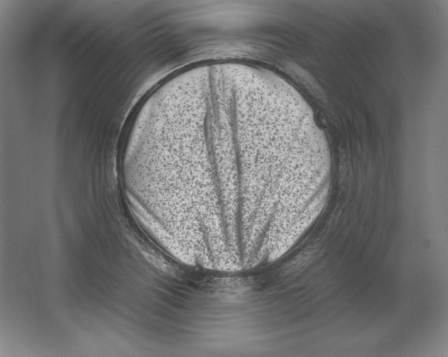 X0000062131226200512301453