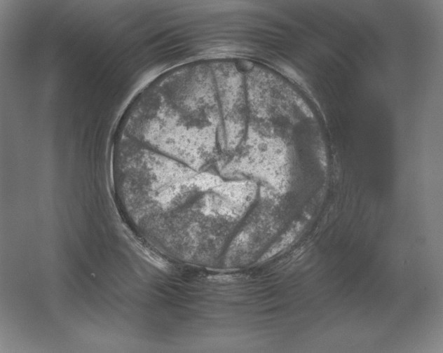 X0000062131227200512301453