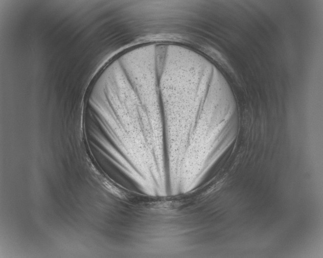 X0000062131228200512301453