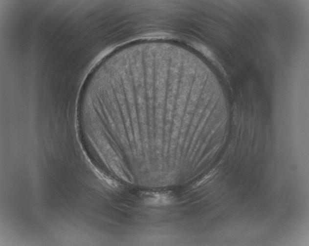 X0000062131229200512301453