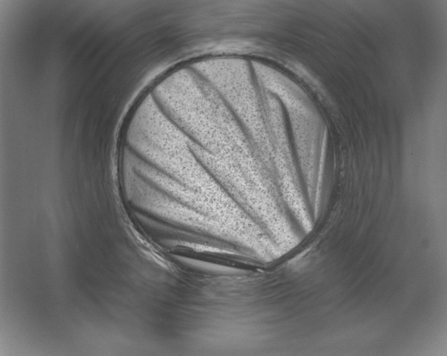 X0000062131232200512301453