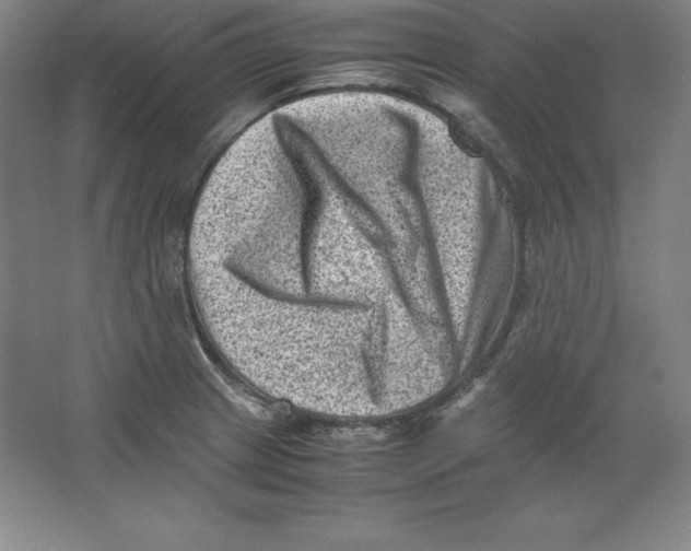 X0000062131233200512301453