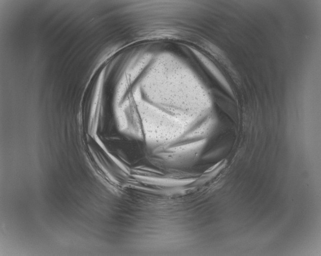 X0000062131234200512301453