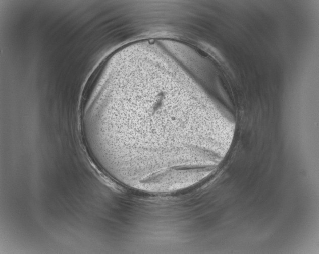 X0000062131236200512301453