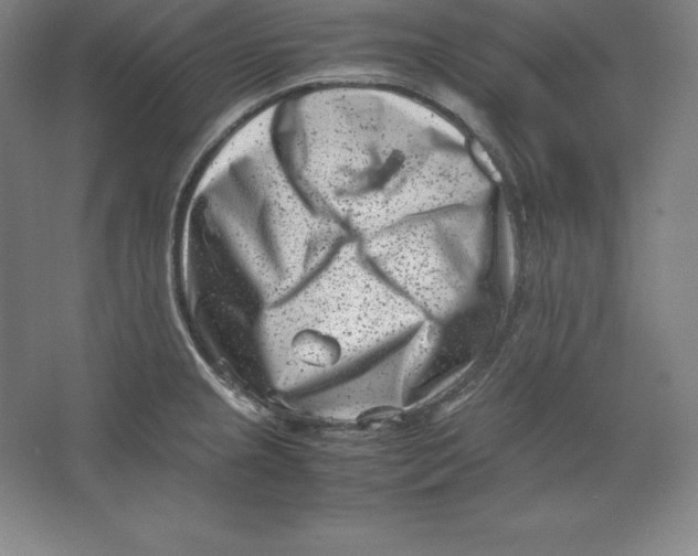 X0000062131237200512301453