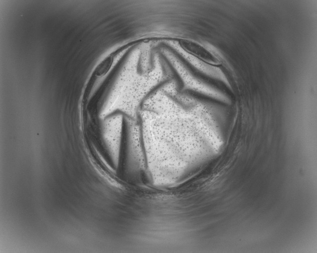 X0000062131238200512301453