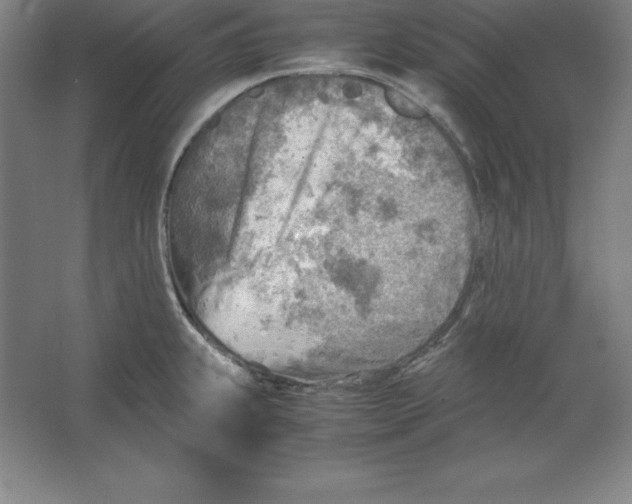 X0000062131239200512301453