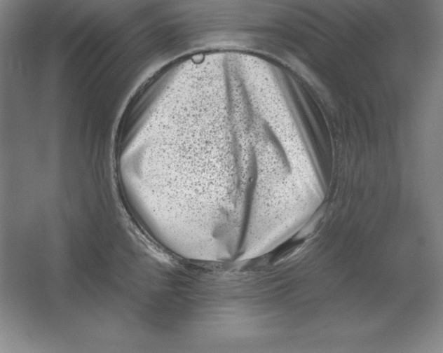 X0000062131240200512301453