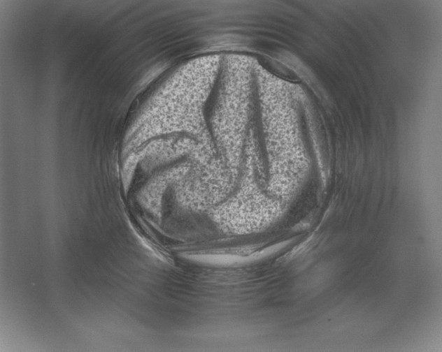 X0000062131241200512301453