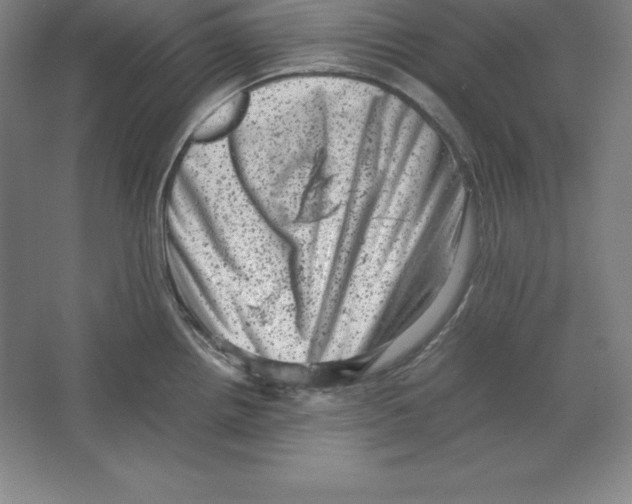 X0000062131242200512301453