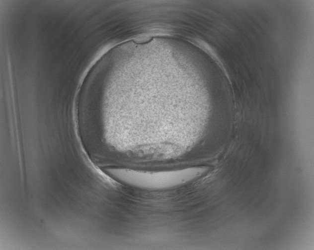 X0000062131243200512301453