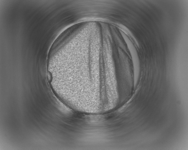 X0000062131244200512301453