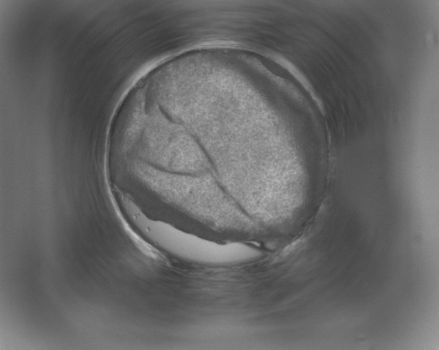 X0000062131245200512301453