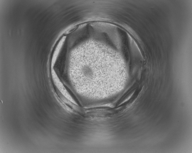 X0000062131246200512301453