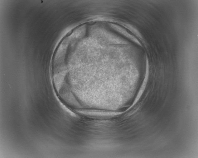 X0000062131247200512301453