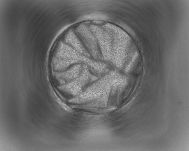 X0000062131248200512301453