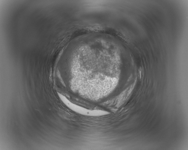 X0000062131251200512301452