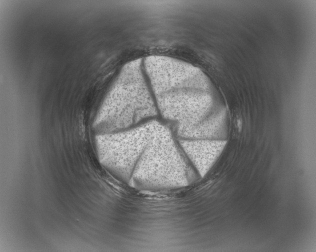 X0000062131252200512301452