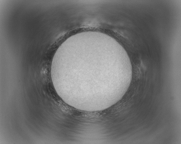 X0000062131254200512301452