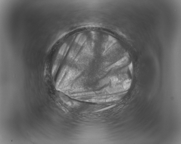 X0000062131255200512301452