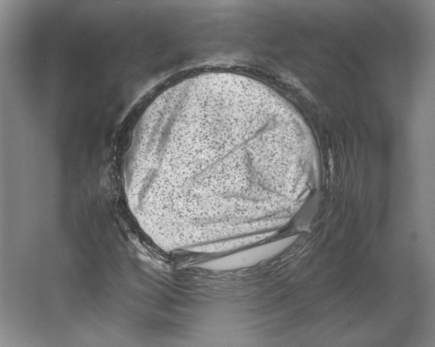 X0000062131256200512301452