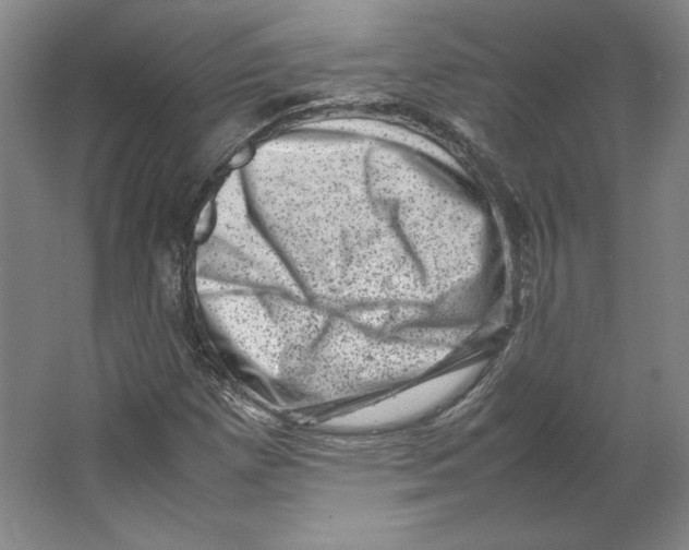 X0000062131257200512301452