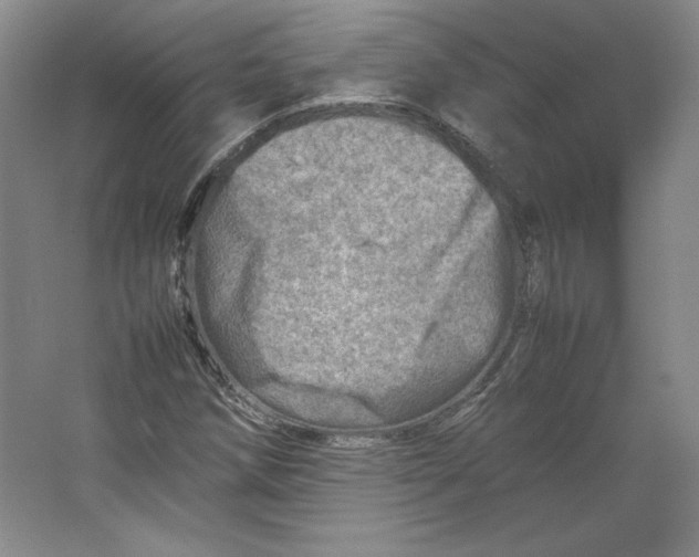 X0000062131258200512301452