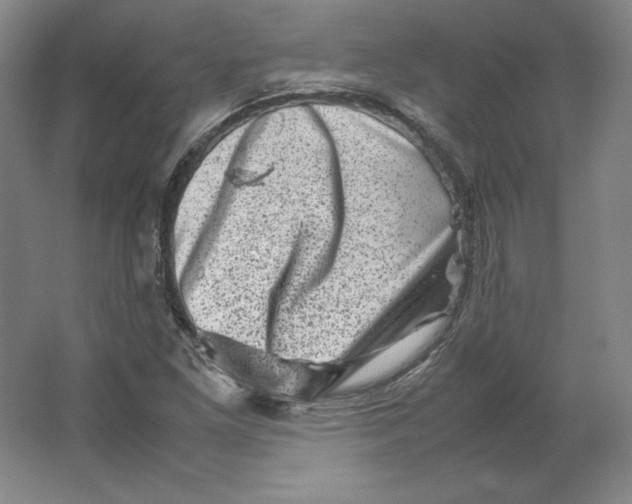 X0000062131261200512301452