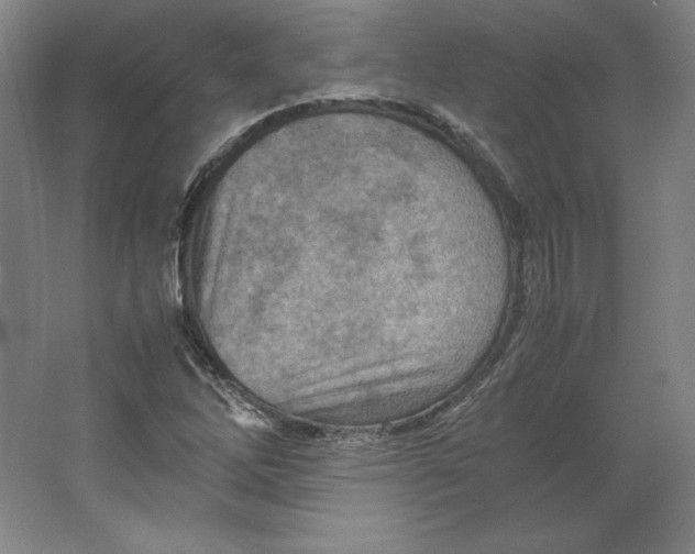 X0000062131262200512301452