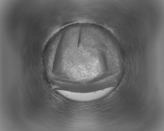 X0000062131263200512301452