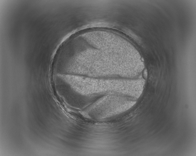 X0000062131264200512301452