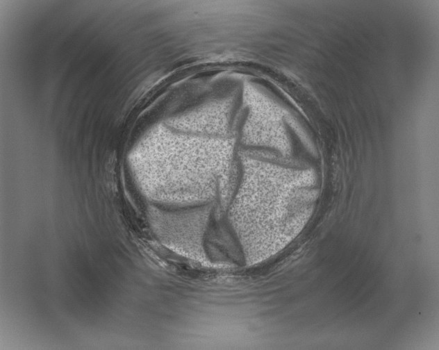 X0000062131265200512301452