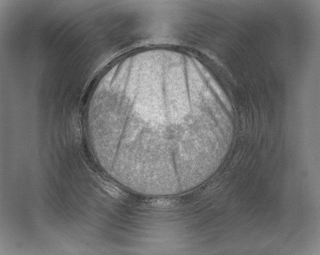 X0000062131266200512301452