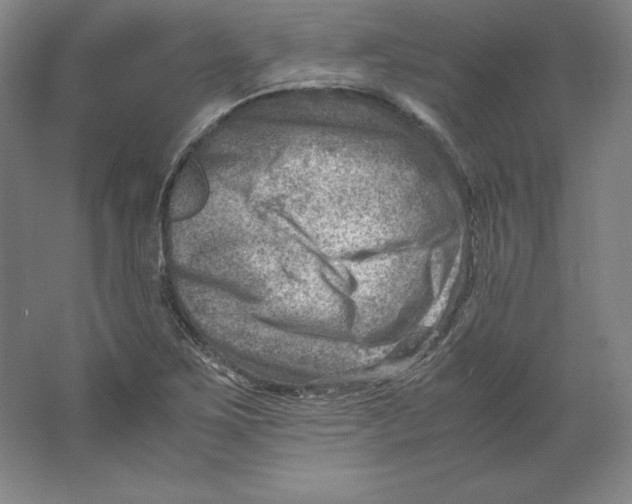 X0000062131267200512301452