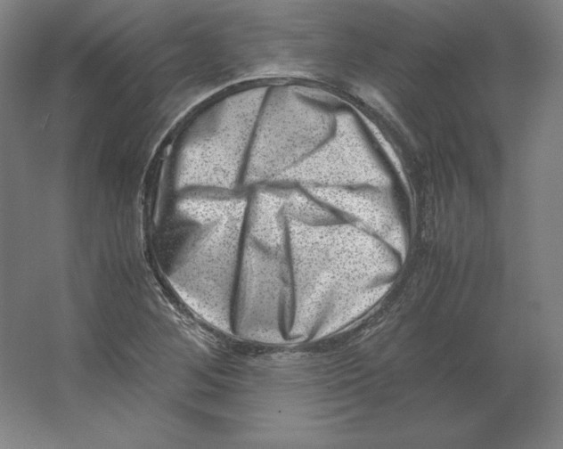 X0000062131268200512301452