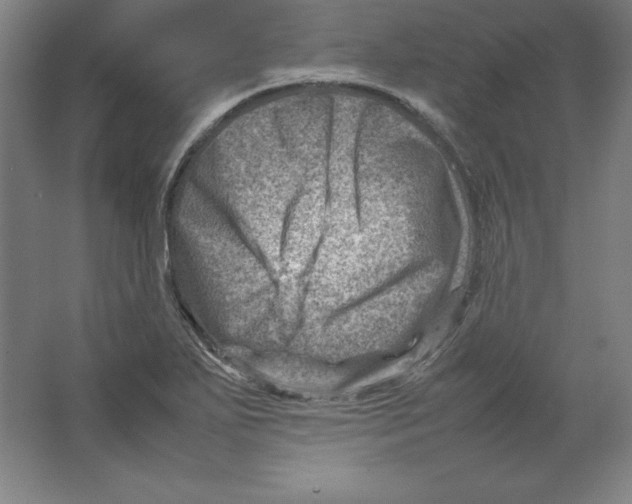 X0000062131271200512301452